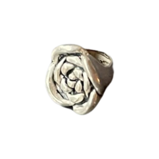 Clyo kids bead zilver roosje