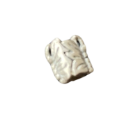Clyo kids bead zilver vlinders