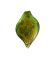 Clyo glashanger 11