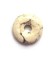 Clyo donut Lemon Chrysoprase